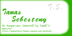 tamas sebesteny business card